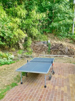 a blue ping pong table sitting on a brick ground at Family home, green surroundings, 10 min from Brussels in Overijse