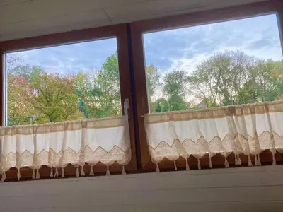 two windows with curtains in a room with trees at Family home, green surroundings, 10 min from Brussels in Overijse