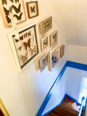 a room with butterflies on the wall at Family home, green surroundings, 10 min from Brussels in Overijse