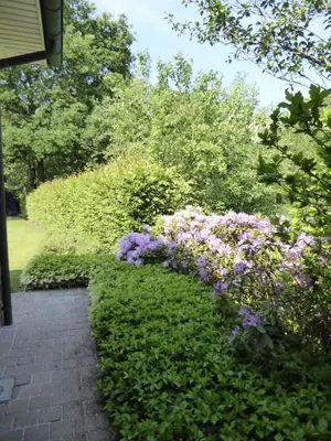 a garden with purple flowers next to a brick walkway at Apartment in a villa in Kasterlee