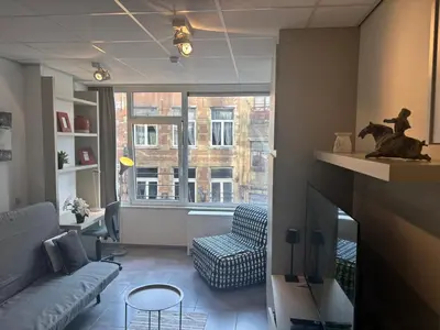 a living room with a couch and a fireplace at Charming Studio in Central Brussels - Walk Everywhere! in Brussels