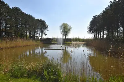 a pond with a house in the middle of it at Uniek privé natuurdomein voor 14 personen in Evergem