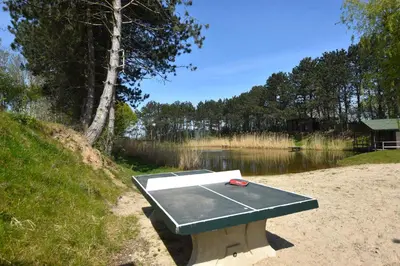 a ping pong table sitting on the sand next to a lake at Uniek privé natuurdomein voor 14 personen in Evergem