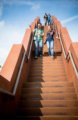 a group of people walking up a set of stairs at Doris in Tielt