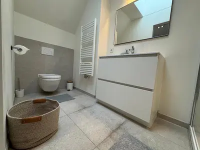 a bathroom with a toilet and a mirror at Downtown Spacious Design Duplex 3bedR in Brussels