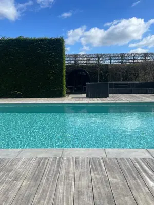 a swimming pool with a wooden deck and a hedge at La maison de Nikolas in Oosterzele