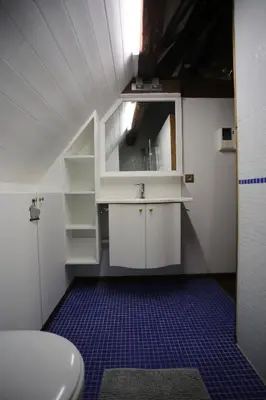 a bathroom with a sink and a toilet in a room at Sint-Catharina in Lier