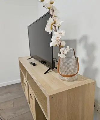 a vase of flowers sitting on a tv stand at Brussels apartment with terrace 2 in Brussels