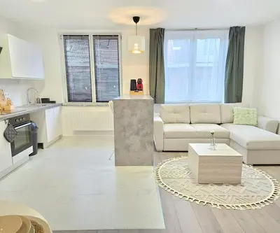 a living room with a couch and a table at Brussels apartment with terrace 2 in Brussels