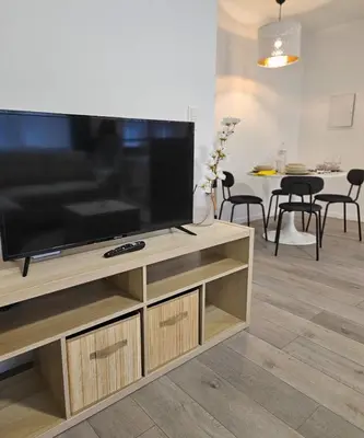 a large flat screen tv sitting on a wooden entertainment center at Brussels apartment with terrace 2 in Brussels