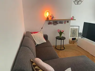 a living room with a couch and a television at Modern & Cozy Apartment near Tomorrowland- Sleeps 4 in Edegem