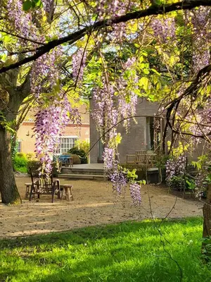 a tree with purple flowers on it in front of a house at The Secret Garden in Lankom
