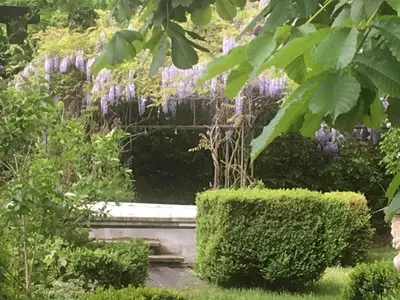 a garden with purple wisterias hanging over a staircase at The Secret Garden in Lankom