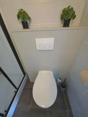 a bathroom with a toilet with two plants on a shelf at Bxl central with city views in Brussels