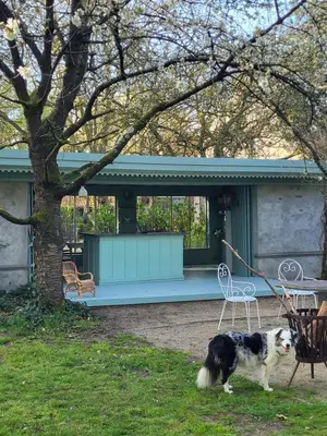 a black and white dog standing in front of a house at The Secret Garden in Herentals