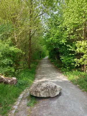a rock sitting on the side of a road at Meerdaal in Oud-Heverlee