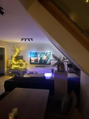 a living room with a tv and a christmas tree at Tomorrowland 2026 Rooftop-Fireworks View in Boom