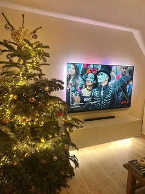 a christmas tree in a living room with a television at Tomorrowland 2026 Rooftop-Fireworks View in Boom