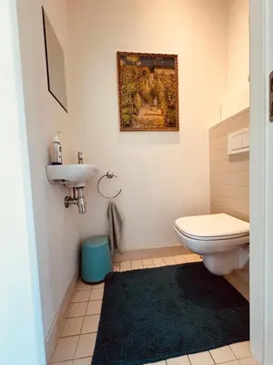 a bathroom with a toilet and a sink at Luxurious stay with zen atmosphere in Zurenborg in Antwerp