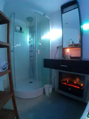 a bathroom with a fireplace and a shower with a glass shower stall at relaxation in Waterloo, 2 steps from the center of Brussels in Waterloo