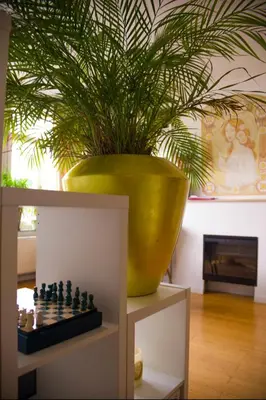 a plant in a large green pot next to a chessboard at The Golden Hour Loft in Brussels