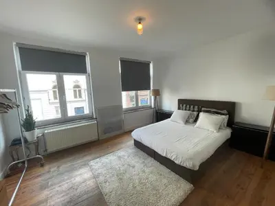 a bedroom with a bed and two windows and a rug at Le Flagey green place in Brussels