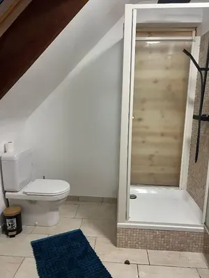 a bathroom with a toilet and a shower stall at Luxe Villa Lou & Hans in Aalst