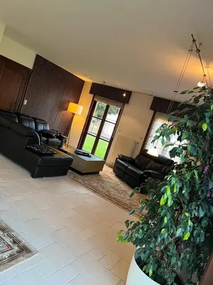 a living room with black furniture and a large plant at Luxe Villa Lou & Hans in Aalst