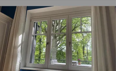 a window with a view of a tree at PepperLake in Overijse