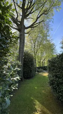 a tree sitting in the middle of a yard at PepperLake in Overijse