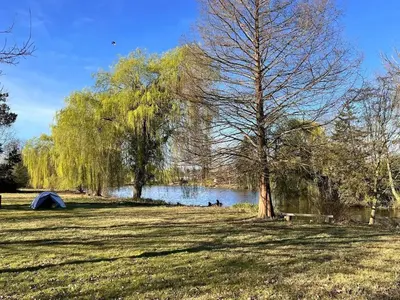 a tent in a field next to a lake with trees at Trekkershutten - Camping Groenpark in Zele