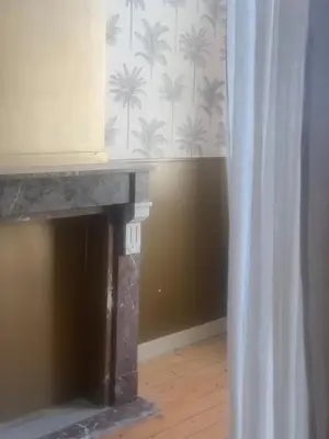 a fireplace in a living room with a wallpaper with palm trees at Heritage Mansion near Tomorrowland in Niel