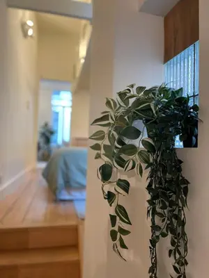 a green plant in a vase on a wall at Charming Family Townhouse in Antwerp in Antwerp