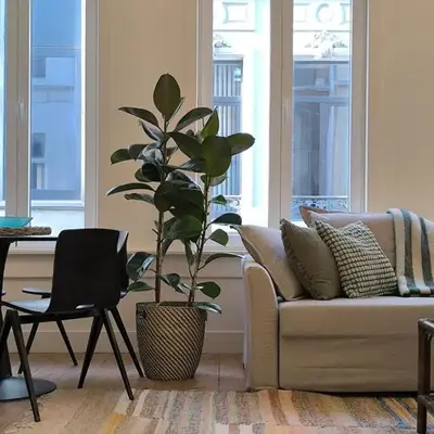 Charming Family Townhouse in Antwerp