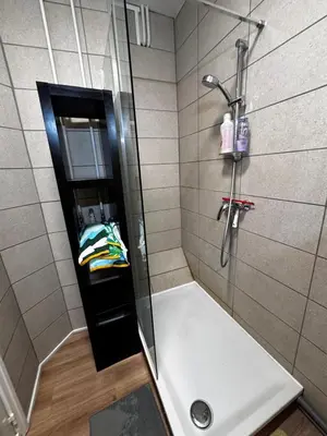 a bathroom with a shower with a sink and a shower at Place Stéphanie - Avenue Louise - Bruxelles Centre in Brussels