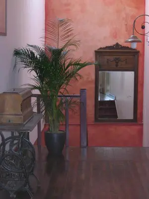 a plant in a room next to a mirror at Hotel Van Reeth's Koffiebranderij in Puurs