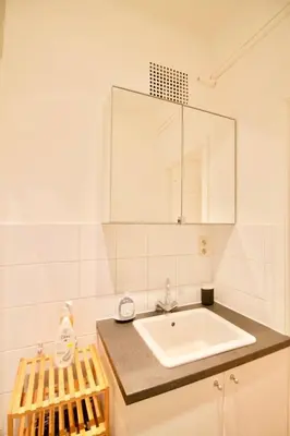 a bathroom with a sink and a mirror at Very nice & large studio-Plasky in Brussels