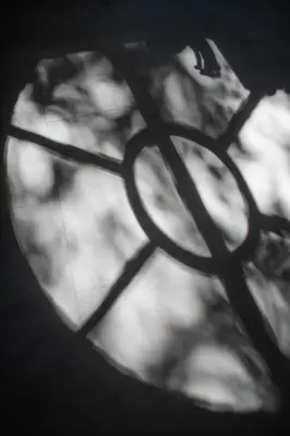 a close up of a shadow of a leaf at Paviljoen De Notelaer in Bornem