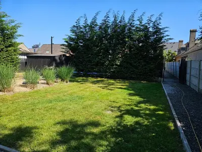 a yard with a tree and a fence at Huisje in Begijnendijk