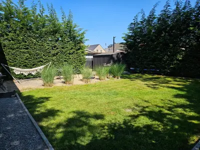 a lawn with a hammock in a yard with trees at Huisje in Begijnendijk