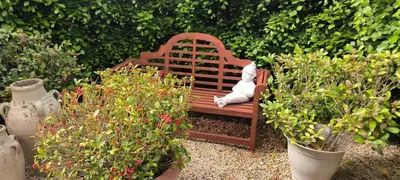 a cat sitting on a bench in a garden at thomas van der vekenlaan in Brecht