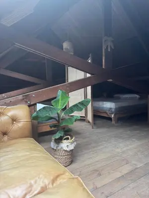 a room with a bed and a plant in a tent at Sensi Waters in Duffel