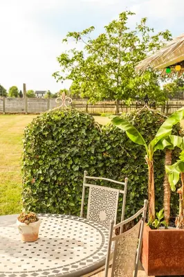 a table and chairs on a patio with a plant at Stijl en kleur in Diest