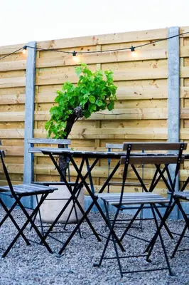 a table with a potted plant and two chairs at B&B Heinehoeve in Kaprijke
