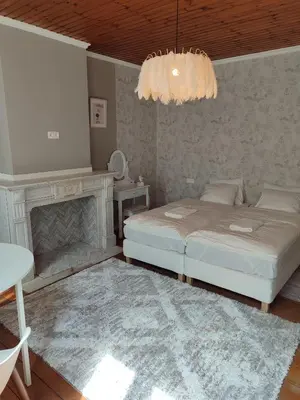 a bedroom with a bed and a fireplace and a chandelier at cosy studio in Antwerp