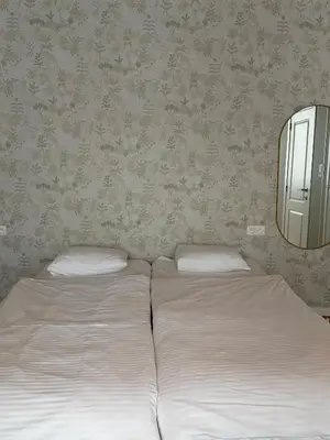 two twin beds in a bedroom with a mirror at cosy studio in Antwerp