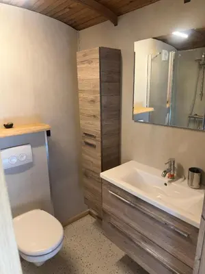a bathroom with a sink and a toilet and a mirror at PipoParel in Ravels