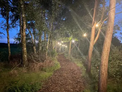 a path in a forest with lights on it at PipoParel in Ravels