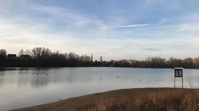 a large lake with ducks swimming in the water at Hotel Rietgors in Temse