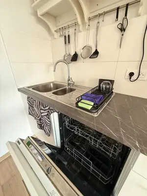 a kitchen with a sink and a dishwasher at Séjour lumineux avec Balcon in Brussels